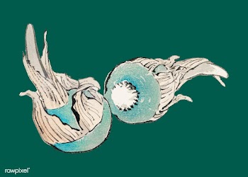 Threeleaf Arrowhead by Kōno Bairei (1844-189.. | Free stock vector - 467146
