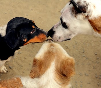 threesome.jpg