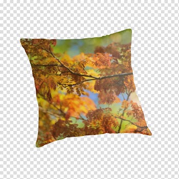 Throw Pillows Cushion Brown, Autumn Colours transparent background PNG clipart