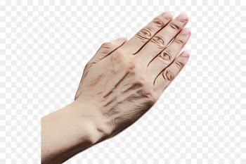 Thumb, Hand Model, Glove, Hand, Finger PNG