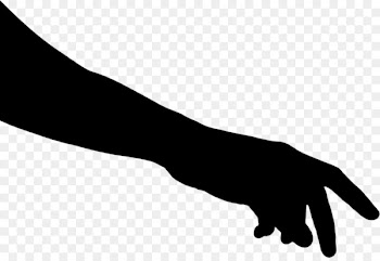 Thumb, Hand Model, Human Leg, Wrist, Arm PNG