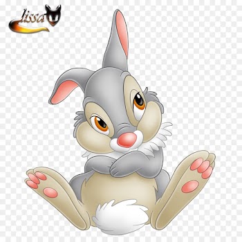 Thumper Friend Owl Drawing Clip art - rabbit 