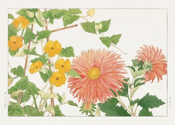 Thunbergia & aster flower, Japanese | Free Photo Illustration - rawpixel