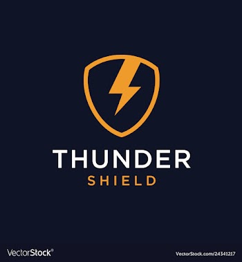 Thunder shield logo design vector image
