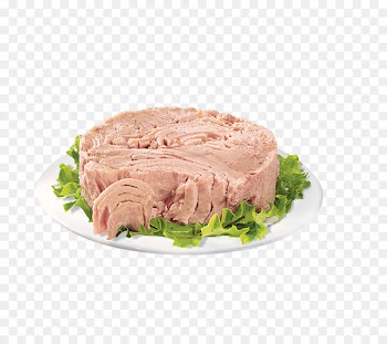 Thunnus Pizza Food Canned fish Fish market - tuna 