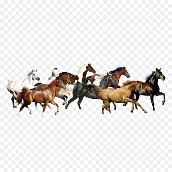 Thxe0nh Cxf4ng Tranh dxe1n tu01b0u1eddng Bu1ea3o Viu1ec7t painting Paper Art - Horses 