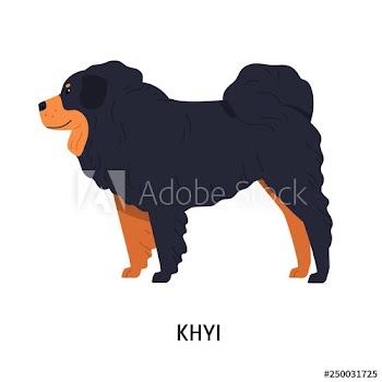 Tibetan Mastiff or Drog-Khyi