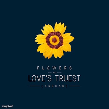Tickseed flower badge | Free stock vector - 545008