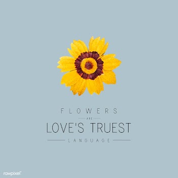 Tickseed flower badge | Free stock vector - 545016