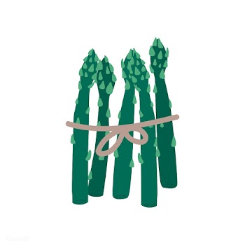Tied fresh green asparagus vector | Free stock vector - 538005