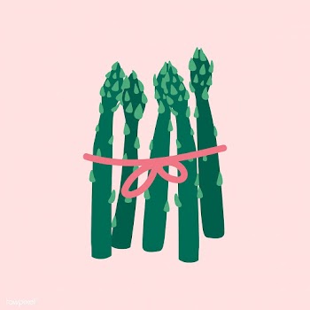 Tied fresh green asparagus vector | Free stock vector - 538016