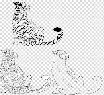 Tiger Back Line Art transparent background PNG clipart