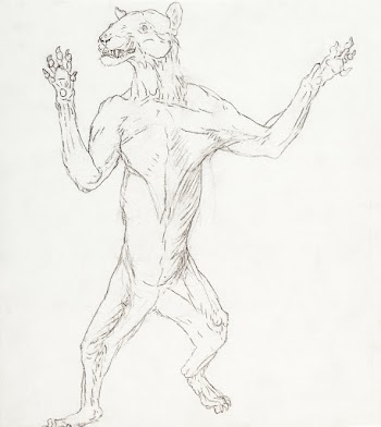 Tiger Body, Standing in Human Posture… | Free public domain illustration