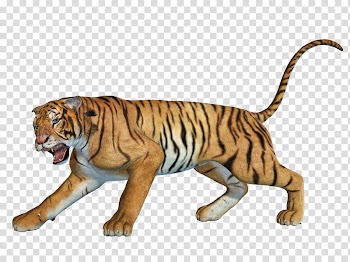 Tiger , brown and black tiger animal transparent background PNG clipart