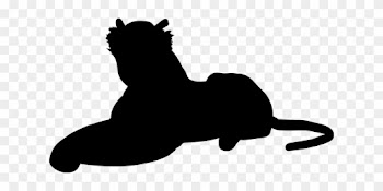 Tiger, Cat, Big Cat, Feral Cat, Nature - Cat