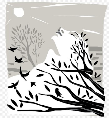 Tiger Cat Illustration Clip art Bird - acquaintance 