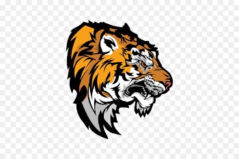 Tiger Cat Vector graphics Royalty-free Stock photography - tiger 