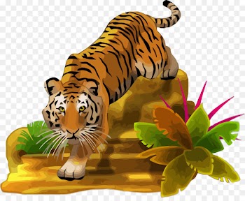Tiger Clip art Wall decal Image Portable Network Graphics - tiger 