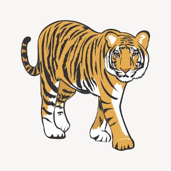 Tiger clipart, animal illustration vector. | Free Vector - rawpixel