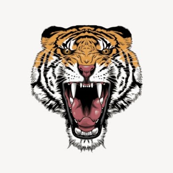 Tiger clipart, wildlife illustration vector. | Free Vector - rawpixel