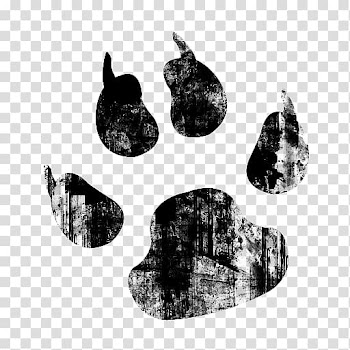 Tiger Dog Cat Paw , watercolor animals transparent background PNG clipart