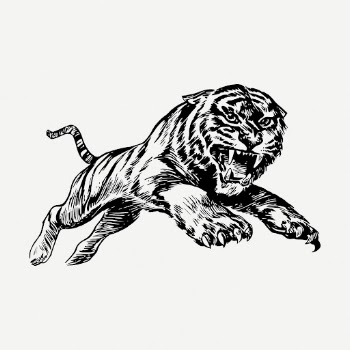 Tiger drawing clipart, wild animal | Free PSD - rawpixel
