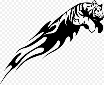 Tiger Drawing Lion Decal Clip art - TIGER VECTOR 