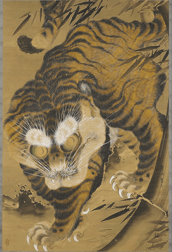 Tiger Emerging from Bamboo during late | Free Photo - rawpixel