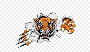 Tiger Euclidean vector Clip art - Vector color ferocious tiger head car stickers 