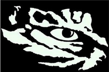 Tiger Eye Stencil Clip Art at PNGio - vector clip art online ...