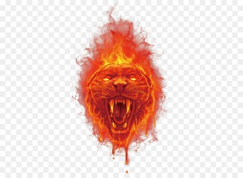 Tiger Fire Euclidean vector - Vector fire tiger head 