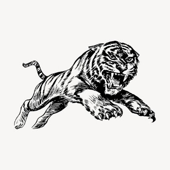 Tiger hand drawn clipart, animal | Free Vector Illustration - rawpixel