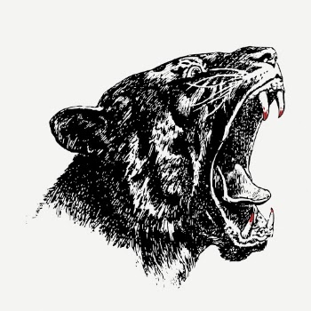Tiger head drawing clipart, animal | Free PSD - rawpixel