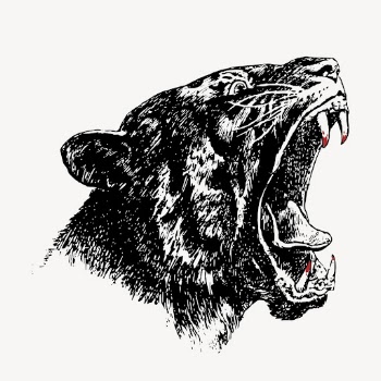 Tiger head hand drawn clipart, | Free Vector - rawpixel