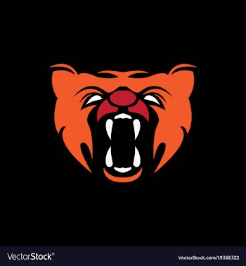 Tiger head logo vector image