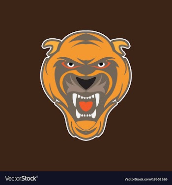 Tiger head logo vector image
