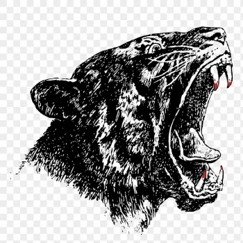 Tiger head png clipart, animal | Free PNG - rawpixel