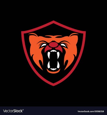 Tiger head symbol vector image