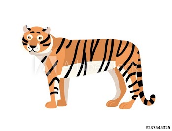 Tiger isolated on white background