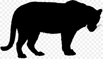 Tiger Jaguar Clip art Vector graphics Image -  