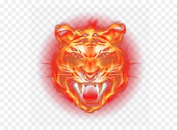 Tiger Light Flame Fire - Flame Tiger 