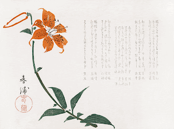 Tiger lily (1861&ndash;1864) vintage Japanese | Free Photo Illustration - rawpixel