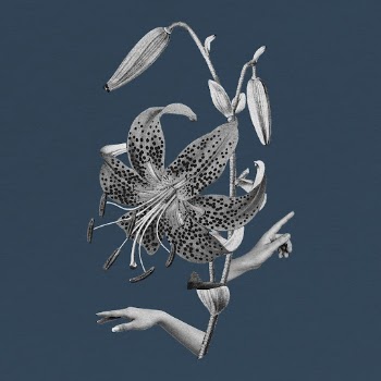 Tiger lily flower clipart, surreal | Free Photo - rawpixel