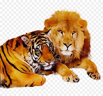 Tiger Lion Animal Wolf Canidae -  