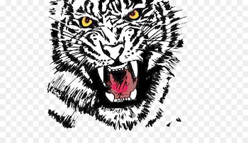 Tiger Logo Drawing Clip art - Ferocious tiger 