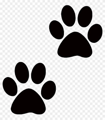 Tiger Paws Clipart - Dog Paw Transparent Background