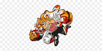 Tiger Playing Soccer