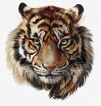 Tiger PNG