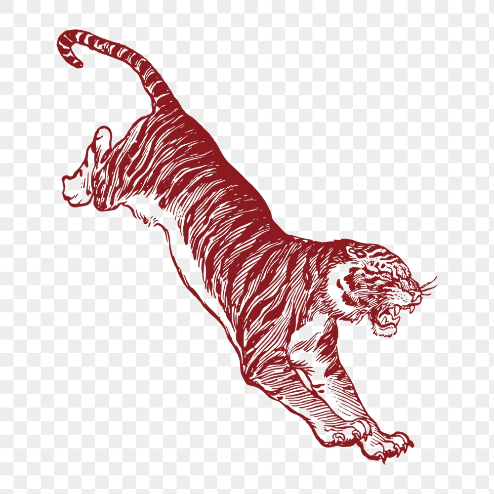 Tiger png sticker, animal illustration, | Free PNG Illustration - rawpixel
