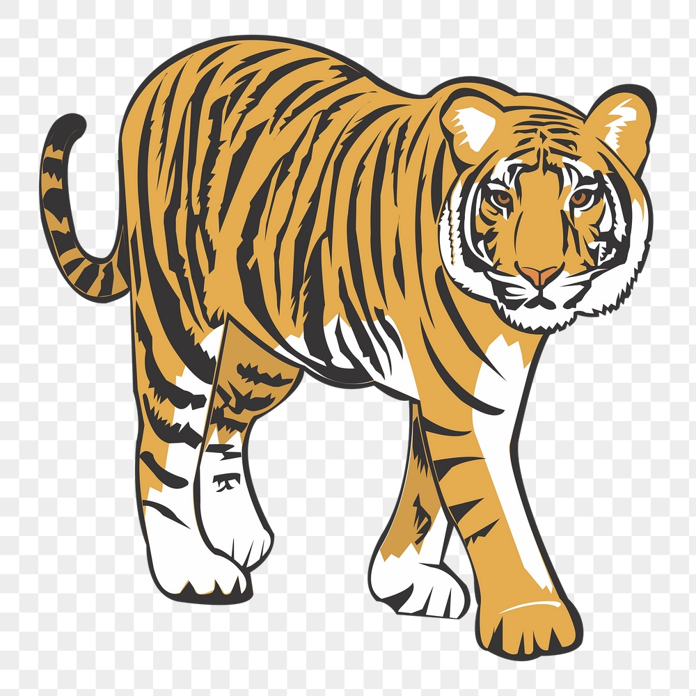 Tiger png sticker, animal illustration | Free PNG - rawpixel